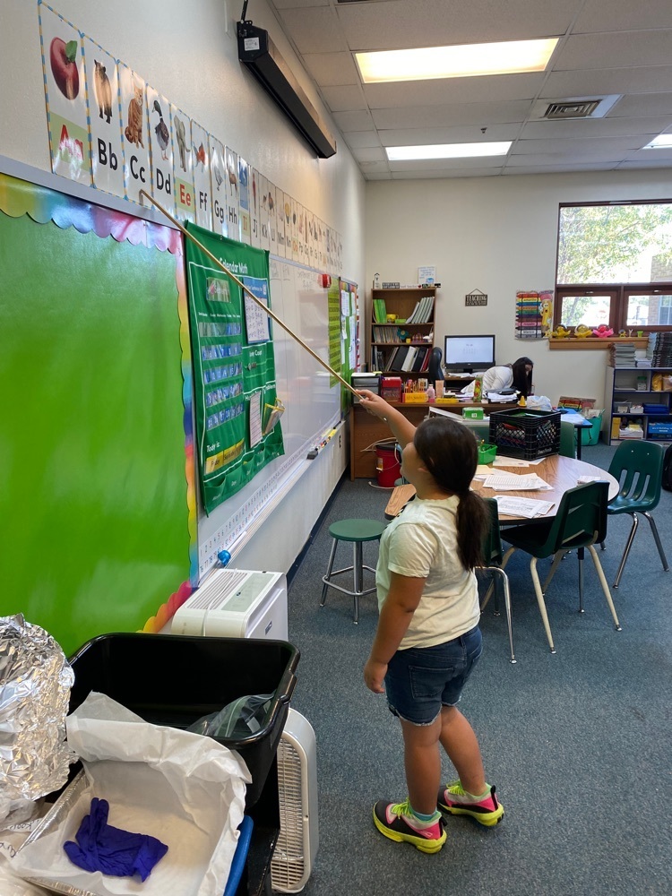 Future Teacher